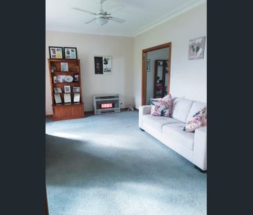 444 Schubach Street, East Albury, NSW 2640 - Photo 3