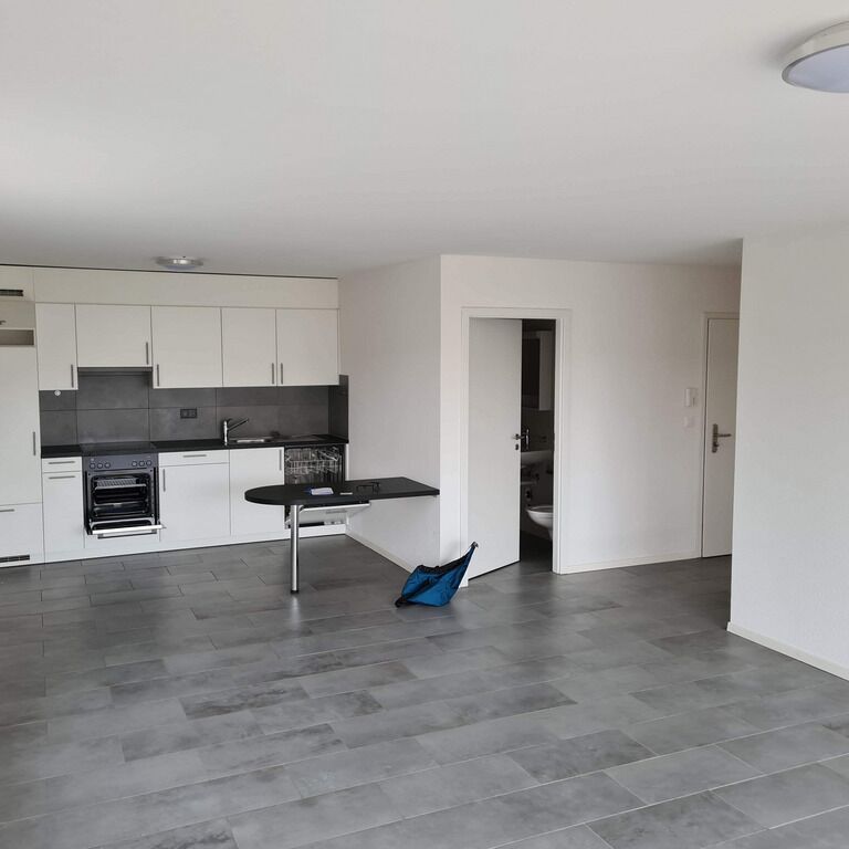 Bel appartement lumineux de 2,5 pièces à Chavannes-près-Renens - Foto 1
