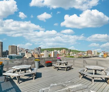 Flex Plus Room - Place Du Boulevard (Males Only) - Photo 4