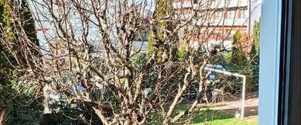 3-Zimmer Wohnung in Würzburg-Heidingsfeld - Photo 1