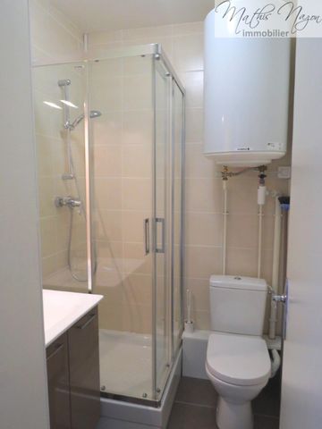 Appartement 1 pièce à Nancy - Photo 5