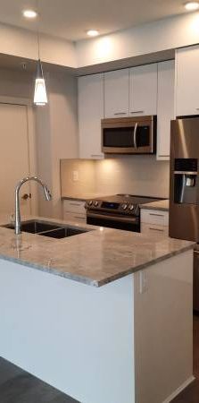 Spacious 1Bedroom and Den Condo - Photo 1