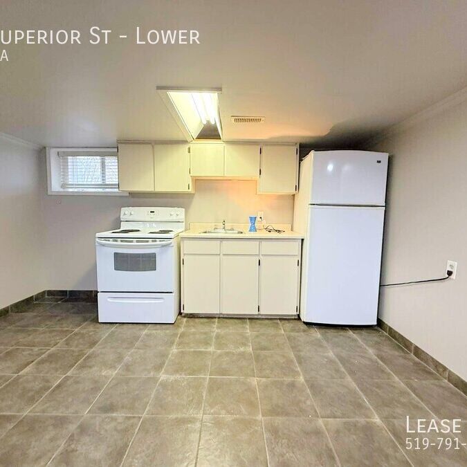 Basement Unit in Prime LaSalle Location! - Photo 1