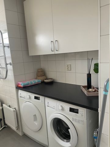 Växthusvägen, Bro - Photo 5