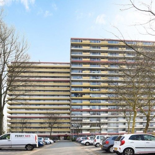 Oost Dorsch 0ong, 1504 Zaandam, Nederland - Photo 1