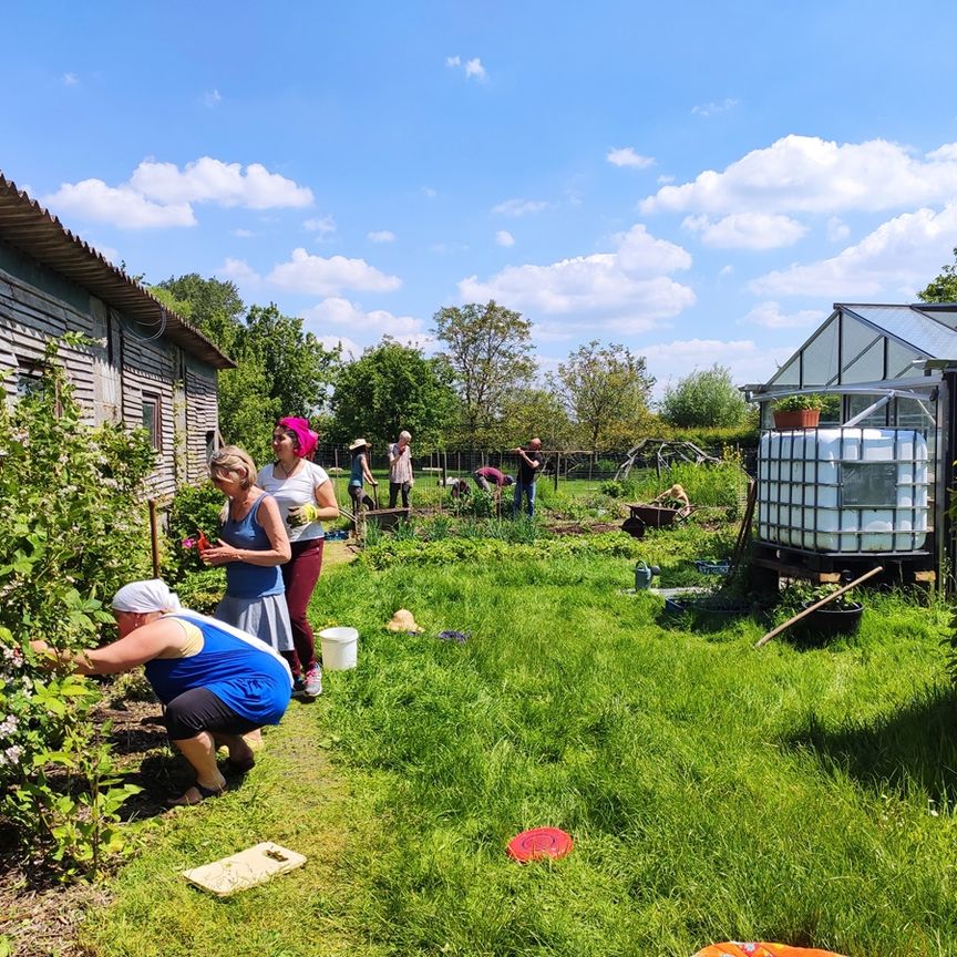 Gite in ecologische woongemeenschap De Groene Doening - Foto 1