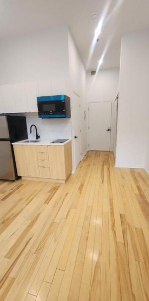 1 CH - 1 SDB - Montréal - $1,195 /mo - Photo 1
