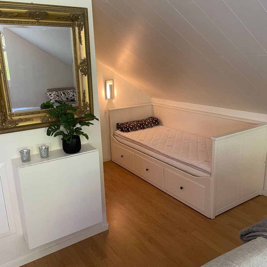 Hermans lycka, Kode - Photo 1