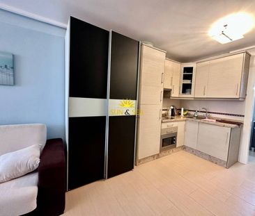 RENOVATED STUDIO FOR RENT IN TORREVIEJA - ALICANTE PROVINCE - Photo 5