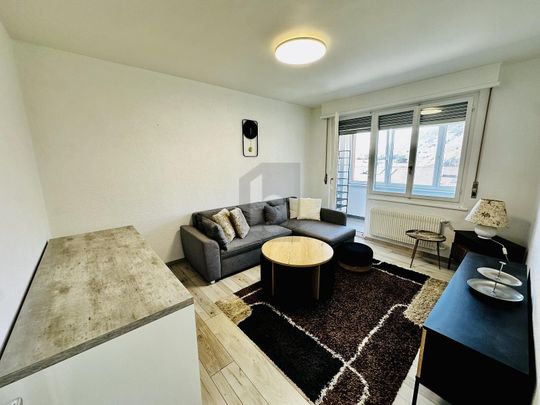 CENTRAL AND ENTIÈREMENT RÉNOVÉ - Photo 1