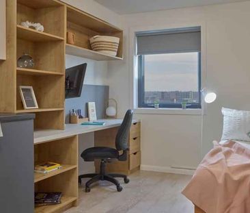 Classic Studio - Photo 3