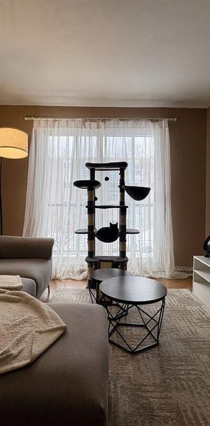 Carmichaël Appartements Appartement 4 ½ à Louer Beauport Juillet 2026 - Photo 1