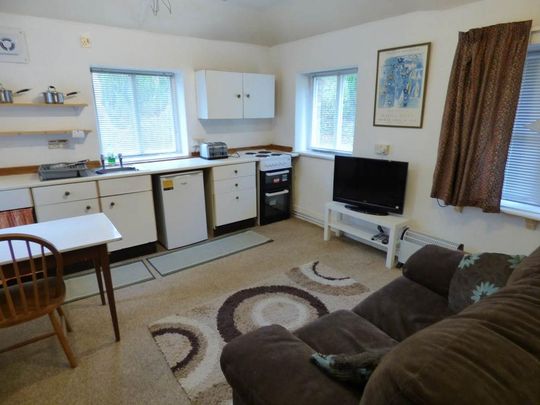 1 bedroom house to rent - Photo 1