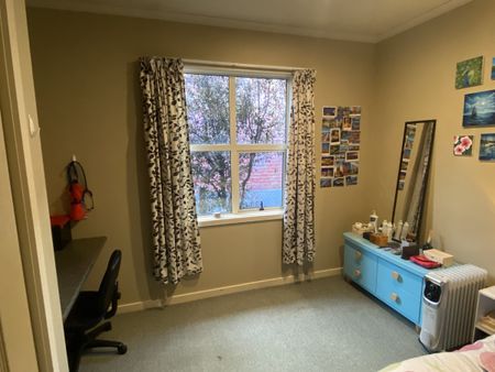 29 Carlyle Street, North East Valley, Dunedin City - Photo 4