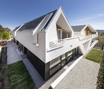 Moderne Neubauwohnung mit großen Fensterflächen – Senior Living - Foto 1