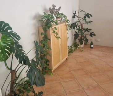 Kardinya - Photo 6
