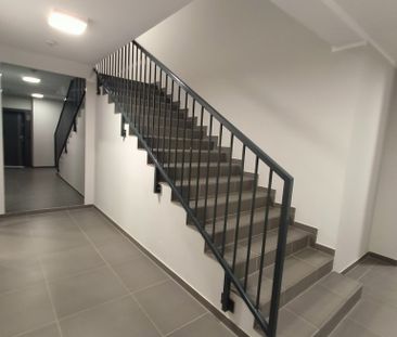 2-pokojowe mieszkanie z ogródkiem, Małe Błonia. - Zdjęcie 6