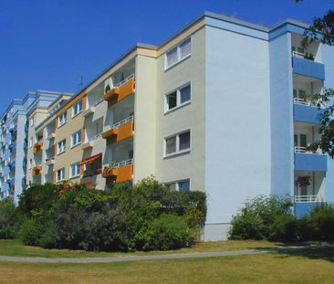 Frisch modernisiert für Sie - energieeffiziente 3-Zimmer-Wohnung //... - Photo 1