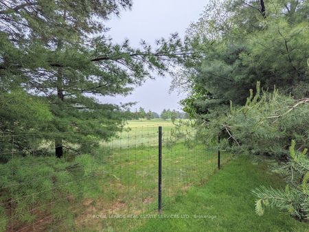 For Lease - 1602 Lincolnshire Blvd. Boulevard, Mississauga, Ontario - Photo 5