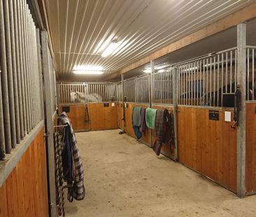 Fingerkulla, Nyköping - Foto 4