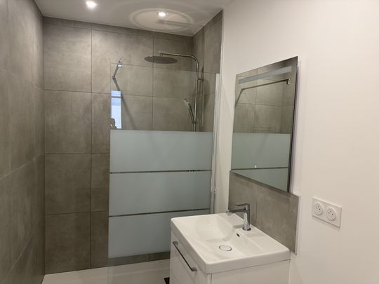 Location Appartement 1 pièce 26m² NANCY 54000 - Photo 1