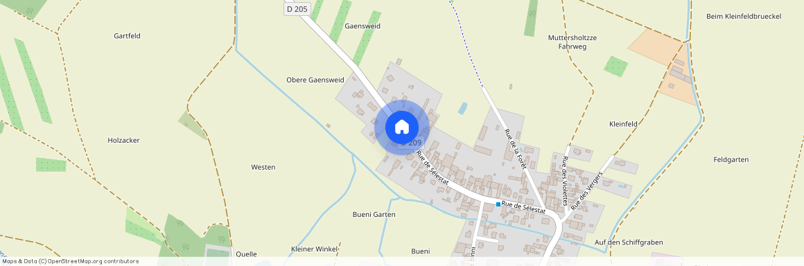 BAS-RHIN (67), - GRAND-EST, SELESTAT (67600)