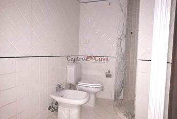 Grazioso tricolare in contesto di corte.