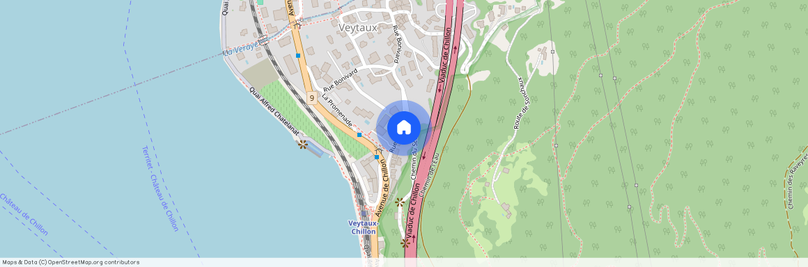 1820, Territet, Rue Du They, 20