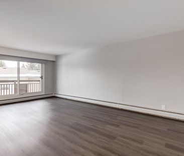 CH Renovated Suite - 1 Bedroom - Photo 6