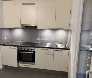 Studio avec terrasse et jardin commun à Chevilly - Photo 1