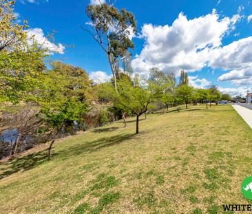 16/30 Trinculo Place, Queanbeyan East NSW 2620 - Apartment For Rent... - Photo 3