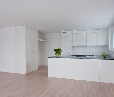 Living in the Quadro Verde - Photo 3