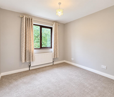 15 Curlew Crescent, - Photo 5