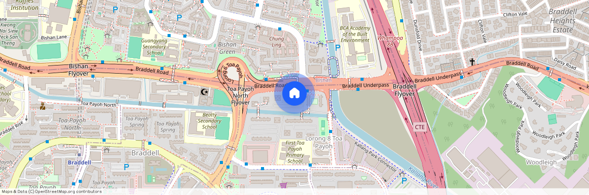 219 Lorong 8 Toa Payoh (310219), Singapore