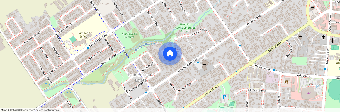 21 Greig Place, Pukekohe