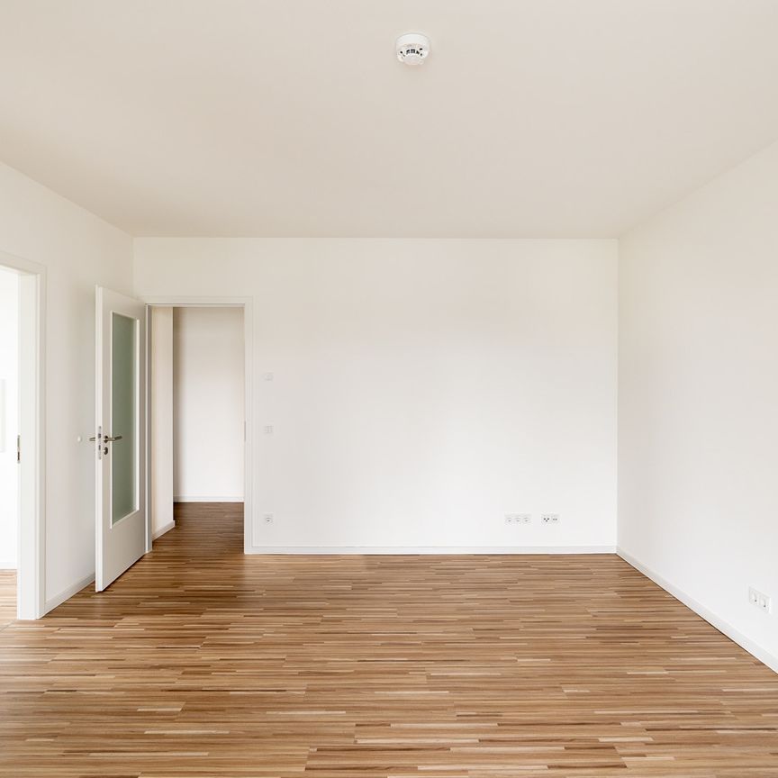 Hoch oben mit großem Balkon und Blick ins Grüne. Neubau in ruhiger zentraler Lage der Südvorstadt. - Photo 1