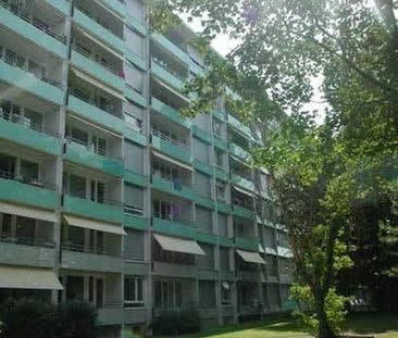 3 Zimmer, 48 m², 7. Stock - Photo 3