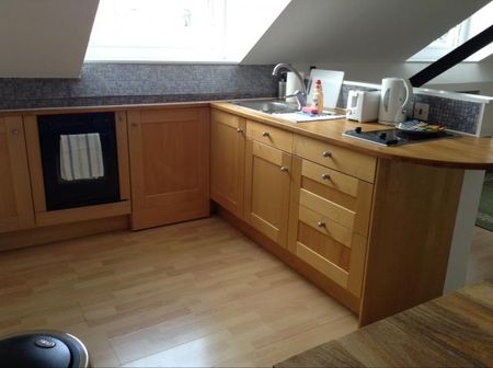 Large Studio to Rent - Photo 4