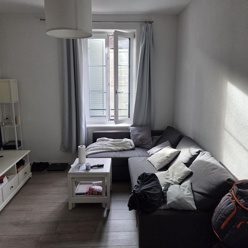 Charmant 2,5 pièces rénové en 2023 - Photo 1