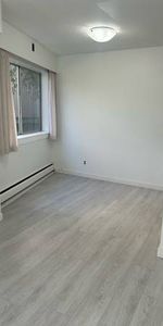 Large 1 bedroom Recently Renovated - Photo 4