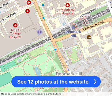 Denmark Hill, Camberwell - Photo 1