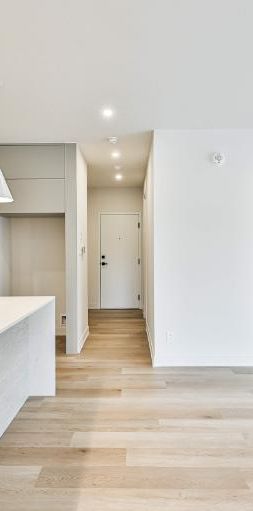 3 CH - 1 SDB - Sainte-Agathe-des-Monts - $1,550 /mo - Photo 1