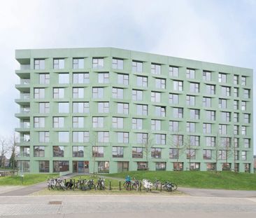 Studentenkamer te huur in Leuven - Foto 4