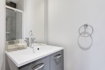 LACASSAGNE Roommate 4 Bedrooms at Lyon 3e - Photo 5