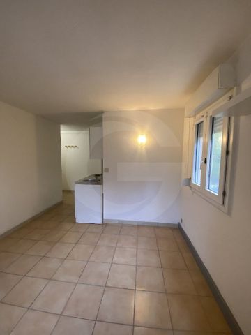 Location Appartement 1 pièce 20m² MONTPELLIER 34070 - Photo 3