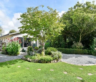 3 Bedroom Home with Two Lounges & Lush Garden! - Photo 6