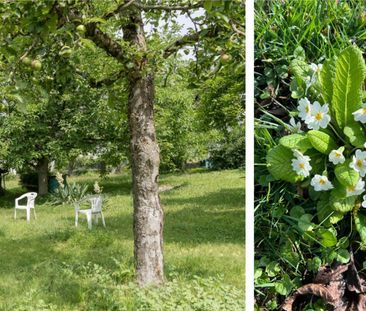 Architecture & Nature - petite maison en duplex élégante dans un im... - Foto 5
