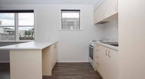 Walk to Waikato & Braemar Hospitals - Photo 1