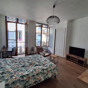 Location Appartement 1 pièce 37m² ST ETIENNE 42000 - Photo 2