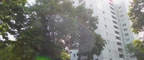 Einzugsbereite Wohnung mit Ausblick! Schöne 2-ZImmer mit Balkon! - Photo 1